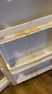 Old spills and yellow stains on shelves.