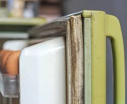 Grime and mold on rubber seals.