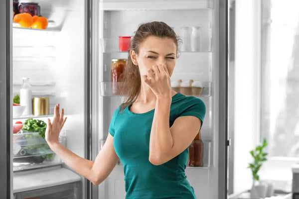 Hidden spots where odors start.
