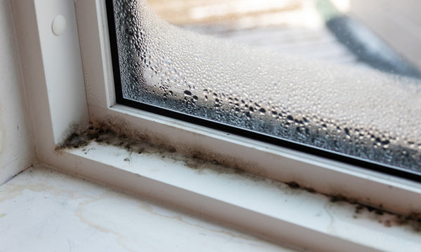 Window frame mildew